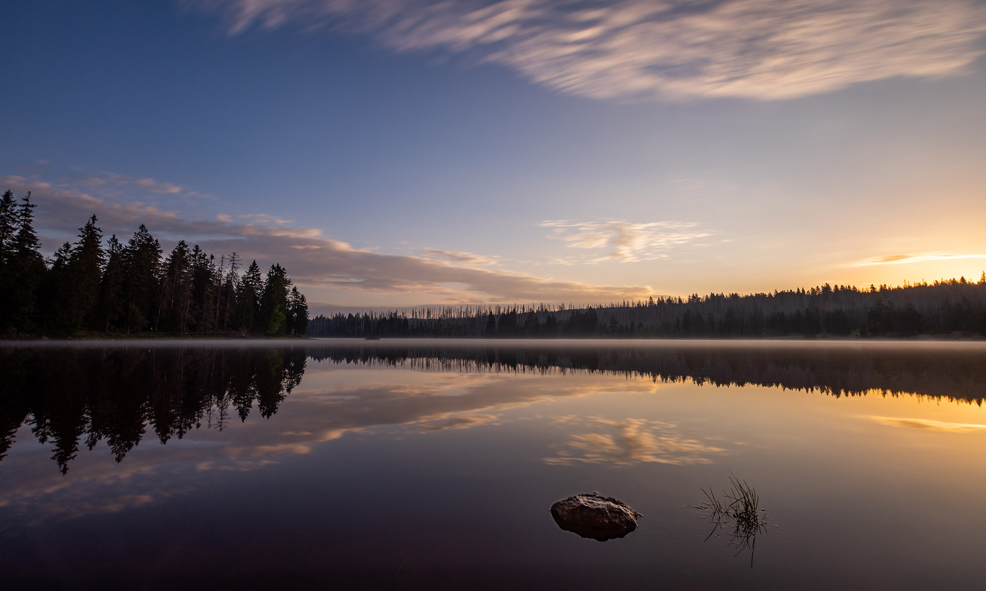 Header Oderteich Harz